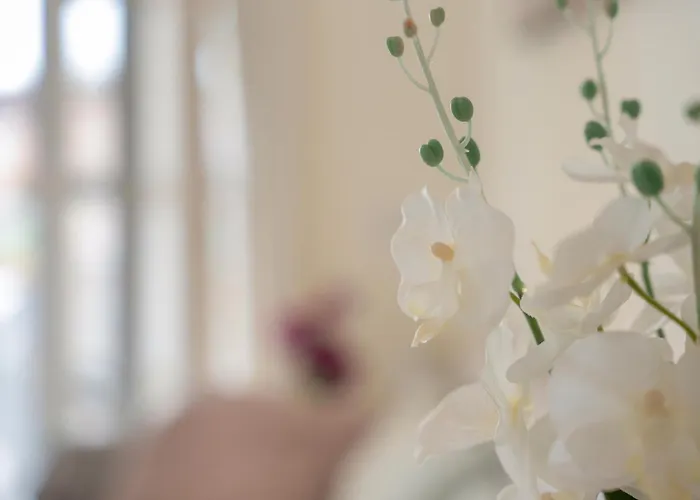 Complejo Orlando 206 Apartmán Costa Adeje (Tenerife)