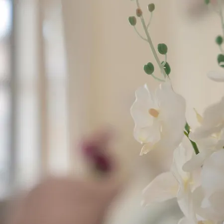 Complejo Orlando 206 Appartement Costa Adeje (Tenerife)